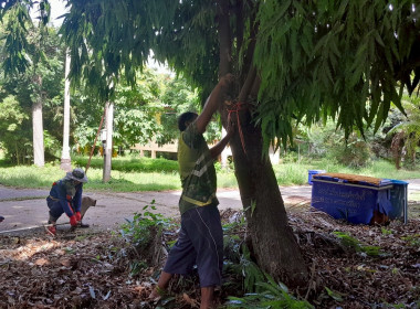 &quot;Big Cleaning Day 2568&quot; พารามิเตอร์รูปภาพ 10