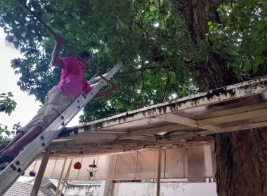 ร่วมกันจัดกิจกรรม &quot;Big Cleaning Day&quot; อย่างพร้อมเพรียงกัน ... พารามิเตอร์รูปภาพ 3