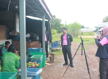 เก็บข้อมูลเพิ่มเติมรอบที่ 2 เพื่อจัดทำ VTR ... พารามิเตอร์รูปภาพ 3