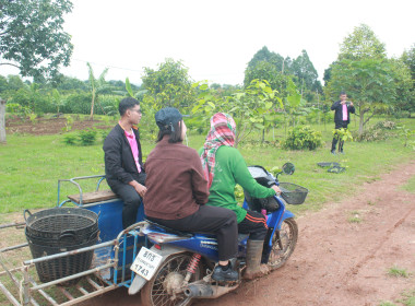 เก็บข้อมูลเพิ่มเติมรอบที่ 2 เพื่อจัดทำ VTR ... พารามิเตอร์รูปภาพ 6