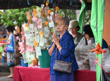 ร่วมพิธีถวายผ้าพระกฐินพระราชทานกรมส่งเสริมสหกรณ์ ประจำปี ... พารามิเตอร์รูปภาพ 12