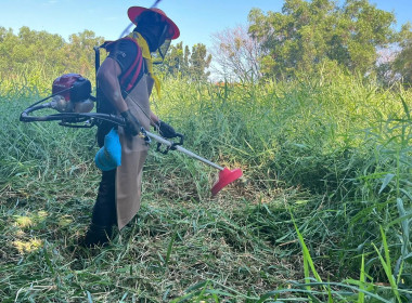 โครงการน้อมรำลึกในพระมหากรุณาธิคุณสมเด็จพระนางเจ้าสิริกิติ์ ... พารามิเตอร์รูปภาพ 15